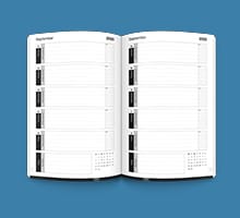 PFS048-Sixth Form Planner OPTION 4